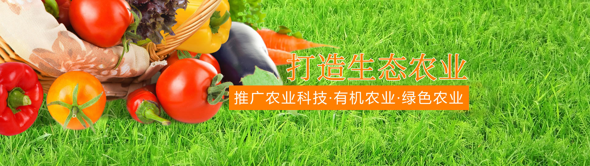 &#27431;&#23453;&#32593;&#39029;&#29256;&#30331;&#24405;&#20837;&#21475;&#45;&#27431;&#23453;&#111;&#110;&#108;&#105;&#110;&#101;&#40;&#20013;&#22269;&#41;